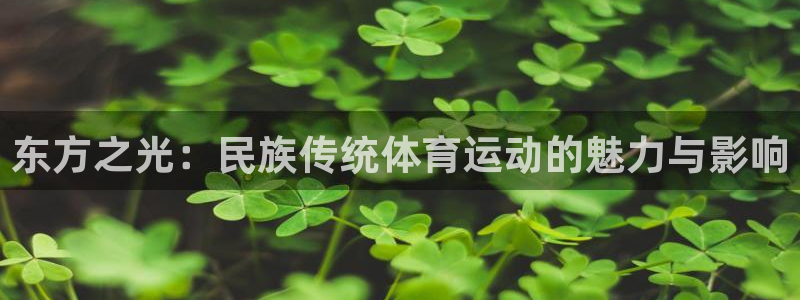 上海意昂3汽车电子有限公司