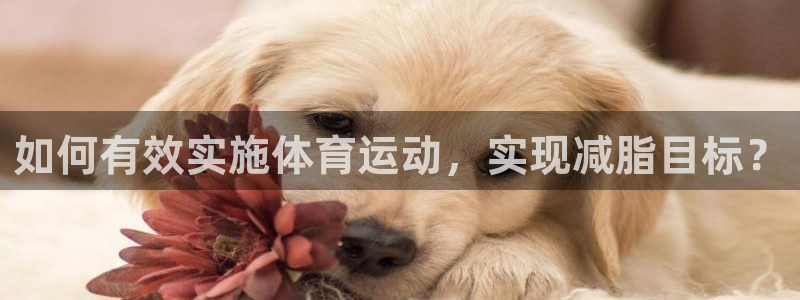意昂3体育用品：如何有效实施体育运动，实现减脂目标？