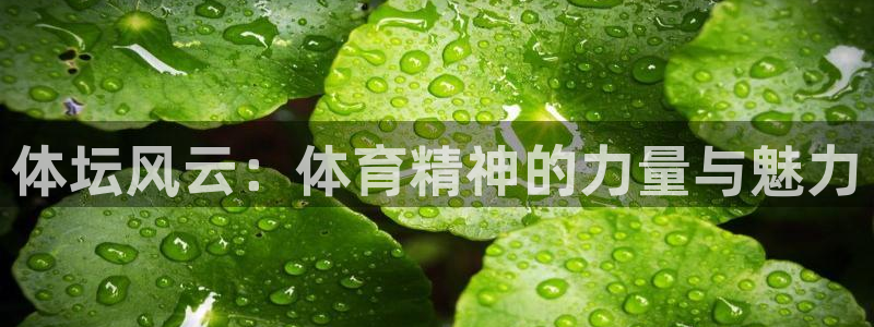 意昂3平台开户链接：体坛风云：体育精神的力量与魅力