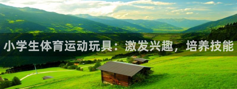 意昂32登录地址：小学生体育运动玩具：激发兴趣，培养技能