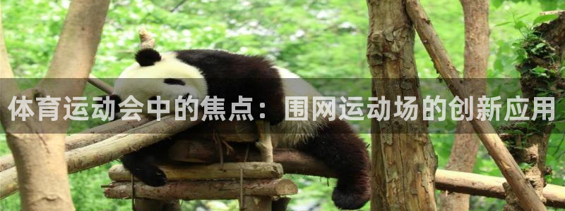 成都意昂3电子有限公司：体育运动会中的焦点：围网运动场的创新应用