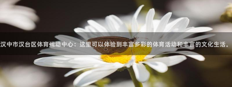 意昂3登录：汉中市汉台区体育运动中心：这里可以体验到丰富多彩的体育活动和丰富的文化生活。