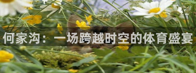 意昂体育