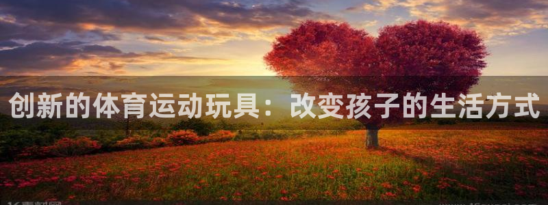 意昂3体育：创新的体育运动玩具：改变孩子的生活方式