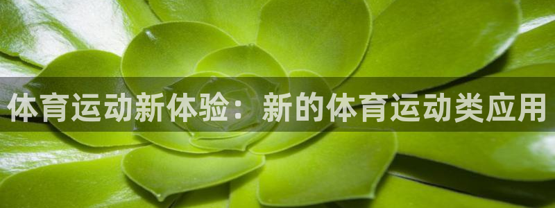 意昂3体育官网登录：体育运动新体验：新的体育运动类应用