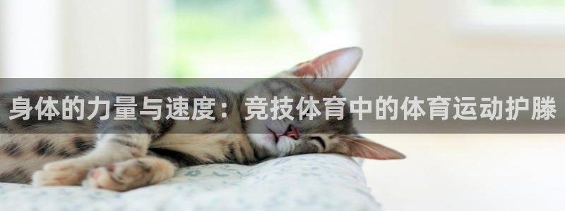 意昂平台登陆