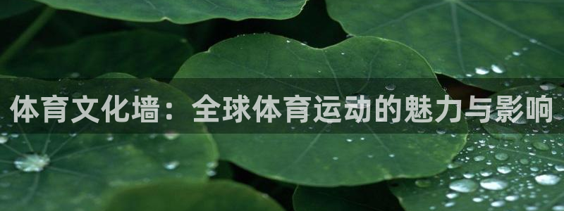 意昂32注册：体育文化墙：全球体育运动的魅力与影响