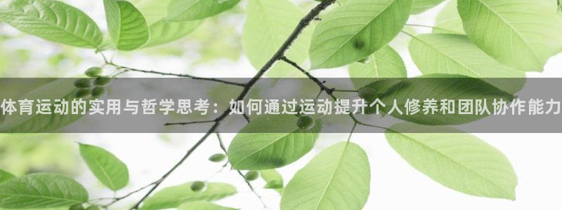意昂3官网注册：体育运动的实用与哲学思考：如何通过运动提升个人修养和团队协作能力
