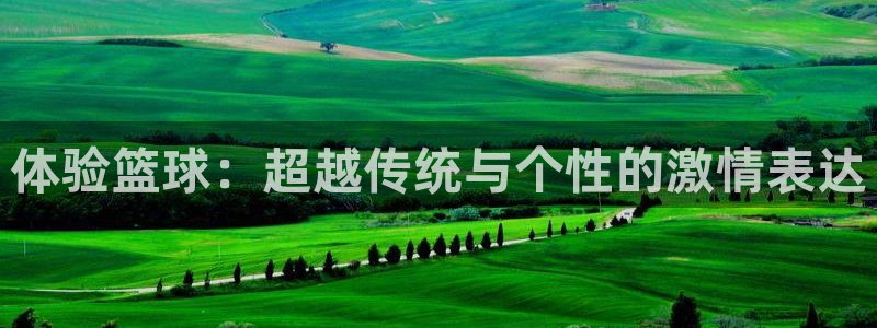意昂4开户：体验篮球：超越传统与个性的激情表达