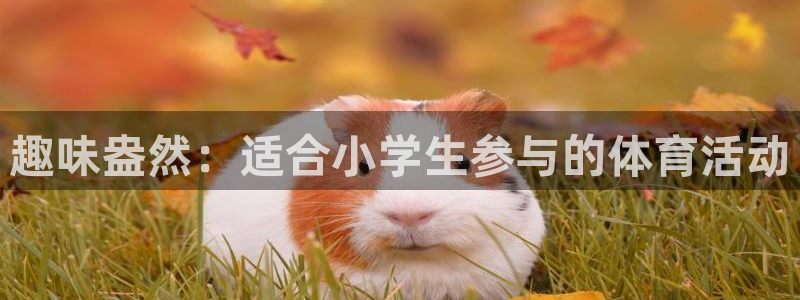 意昂3f凯捷平台在线注册：趣味盎然：适合小学生参与的体育活动