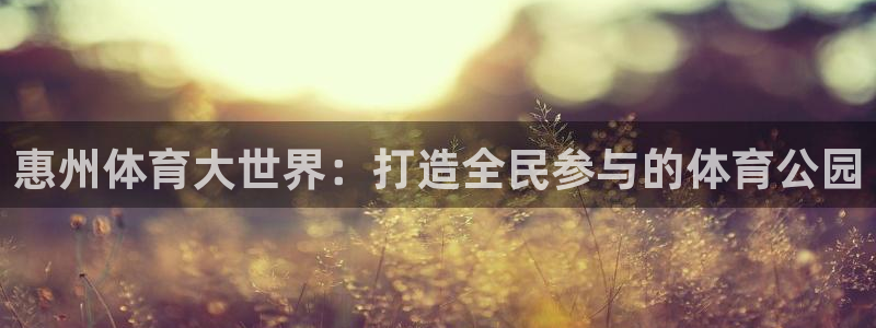 意昂5招商：惠州体育大世界：打造全民参与的体育公园