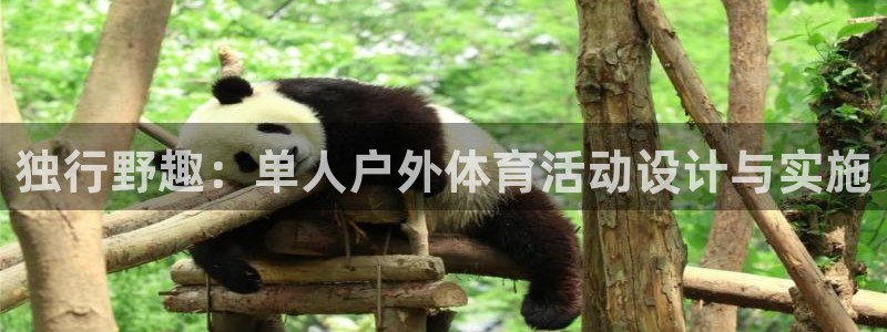 www.意昂体育.com：独行野趣：单人户外体育活动设计与实施