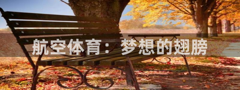 意昂3体育免费注册入口：航空体育：梦想的翅膀
