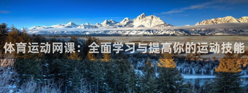 意昂4平台注册：体育运动网课：全面学习与提高你的运动技能