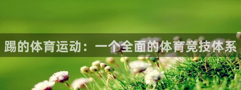 意昂3体育官网：踢的体育运动：一个全面的体育竞技体系