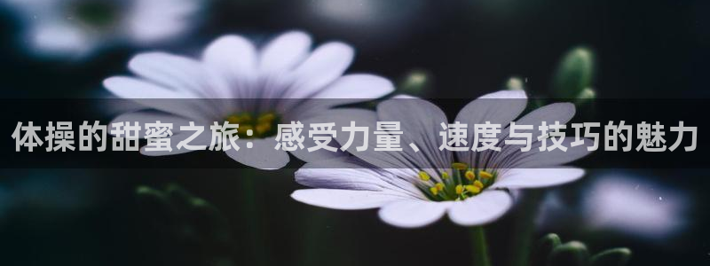 佛山市南海意昂3机电仪器有限公司：体操的甜蜜之旅：感受力量、速度与技巧的魅力
