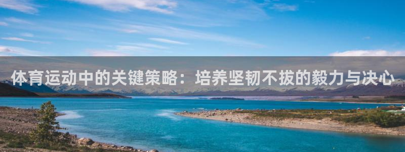 意昂包：体育运动中的关键策略：培养坚韧不拔的毅力与决心