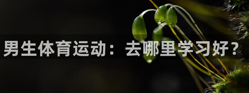 无锡意昂：男生体育运动：去哪里学习好？