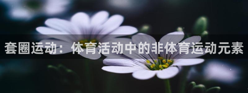 意昂平台注册：套圈运动：体育活动中的非体育运动元素