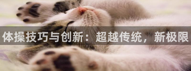 意昂3平台注册：体操技巧与创新：超越传统，新极限